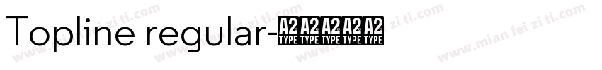 Topline regular字体转换